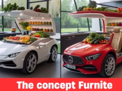 Car-Themed Kitchen Furniture: Unique Pieces That Bring Style and Fun Car-Themed Kitchen Furniture: Unique Pieces That Bring Style and Fun