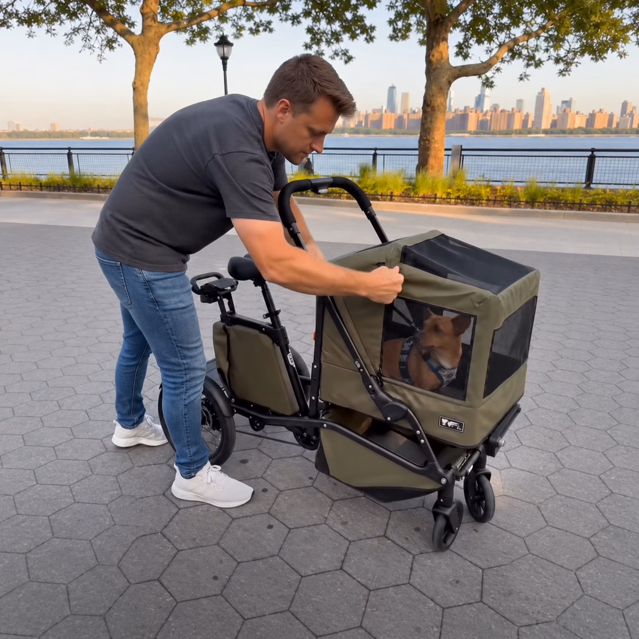 Convertible Pet Stroller Bike: The Convenient Way to Walk Your Dog 4 ChatGPT Image 15 11 54 6 thg 8 2026