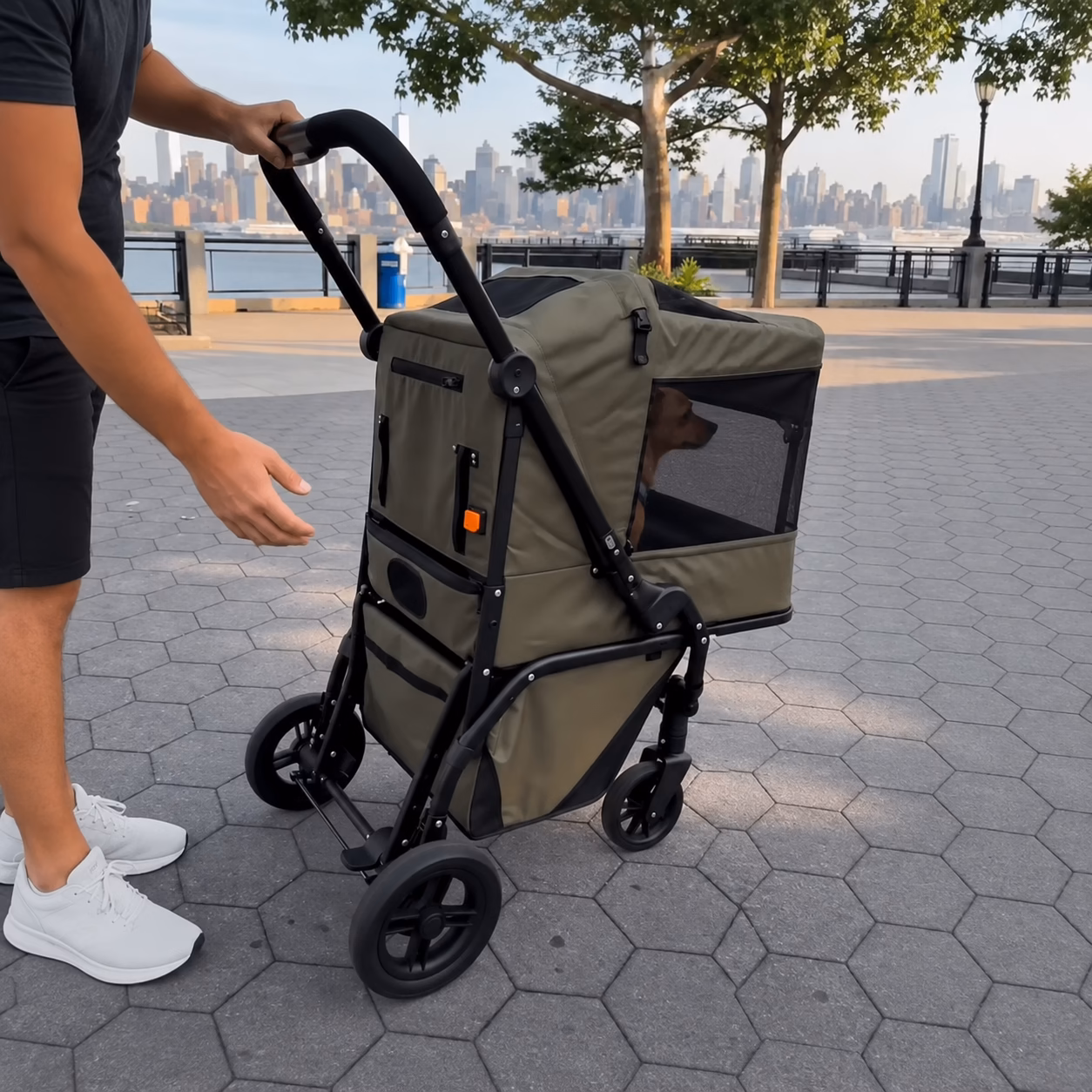 Convertible Pet Stroller Bike: The Convenient Way to Walk Your Dog 2 exec ba2b4e35 292f 448a a700 eae309f58360